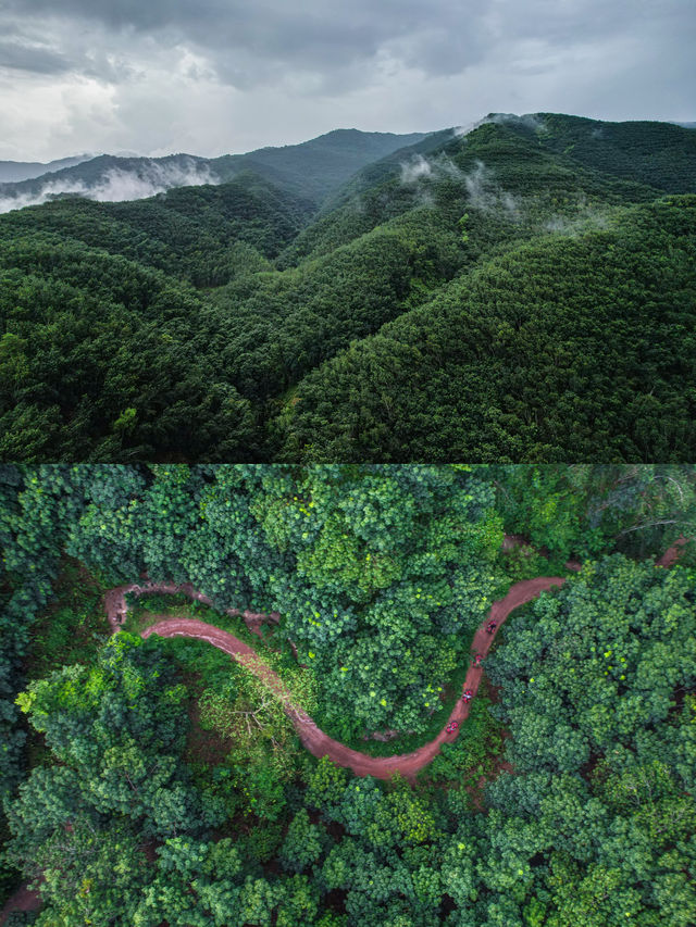 帶你解鎖雨林新玩法～西雙版納望天樹景區。