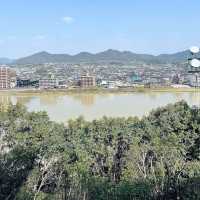 One-Day Trip to Inuyama Castle from Nagoya