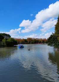 上海野生動物園天鵝湖也很美。