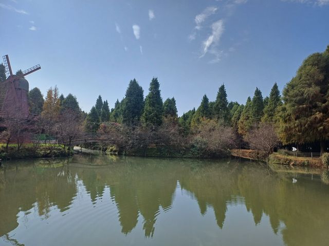 撈魚河公園——樹和鳥的樂土