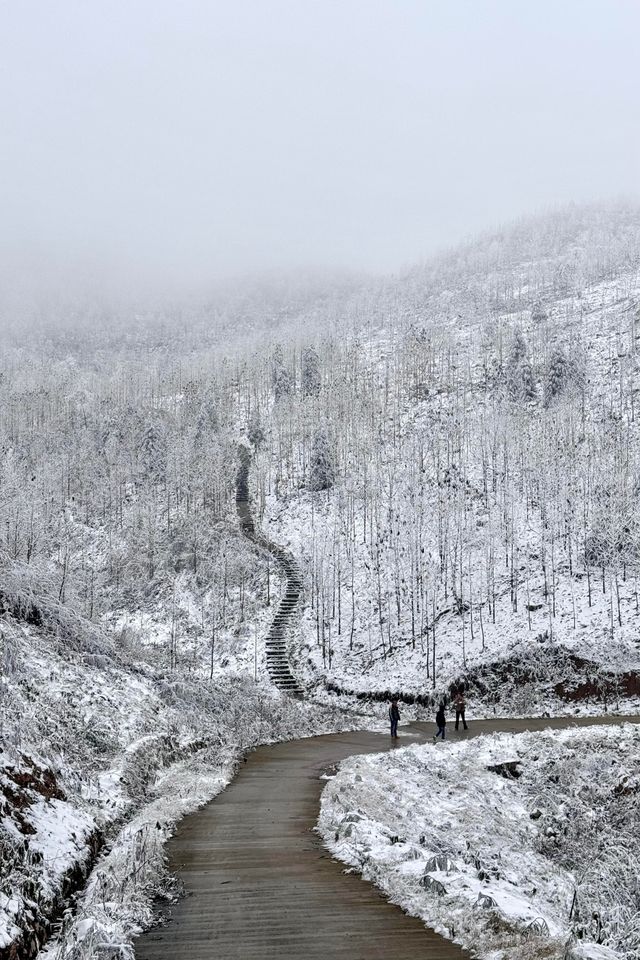 成都出發1.5小時免費觀賞超美霧凇雪景