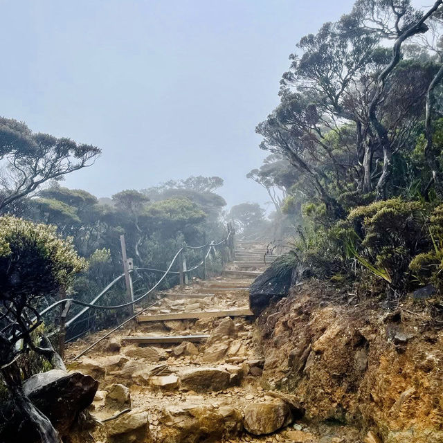 "Exploring the Enchanting Forest Views of Mount Kinabalu"