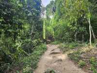 Doi Suthep Hiking Trail (Wat Pha Lat) 