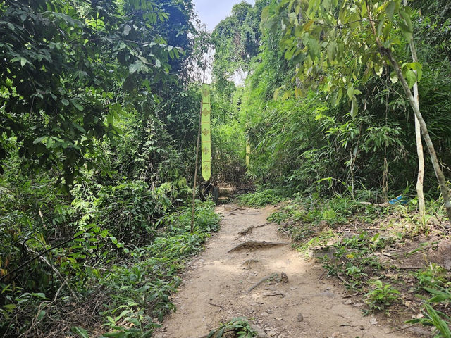 Doi Suthep Hiking Trail (Wat Pha Lat) 