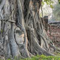 วัดมหาธาตุ อุทยานประวัติศาสตร์พระนครศรีอยุธยา 