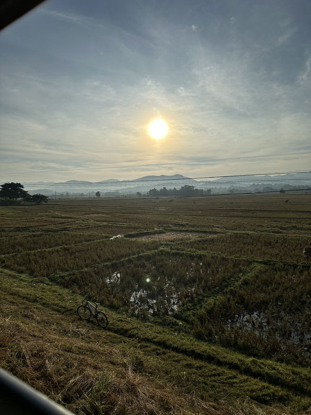 タイ鉄道の旅🚃