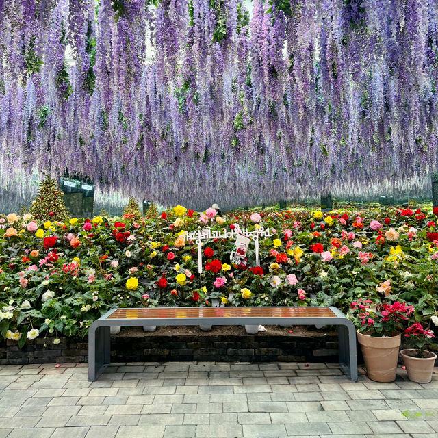 A Serene Oasis at Gapyeong Begonia Bird Park!