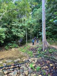 Into the Wild: A Breathtaking Escape at KL East Park