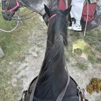 Walter Peak’s breathtaking horse riding experience