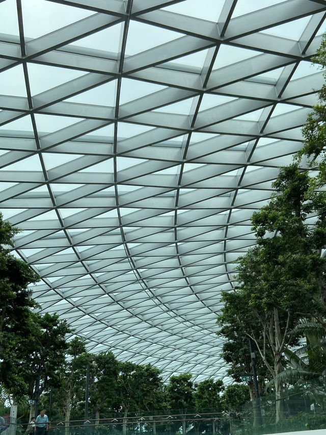 Jewel Changi: Where Travel Meets Magic