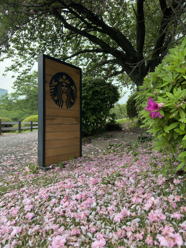 Escape to Serenity at Shinjuku Gyoen National Garden