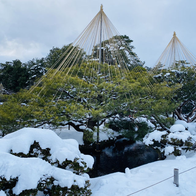 【金沢市🇯🇵兼六園】雪景色に包まれて☺️庭園散策