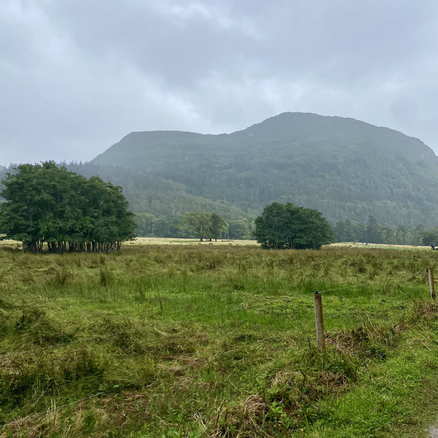 Beauty at Every Turn 🌳🚶‍♂️