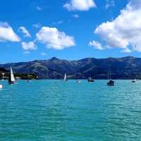 Akaroa Tour