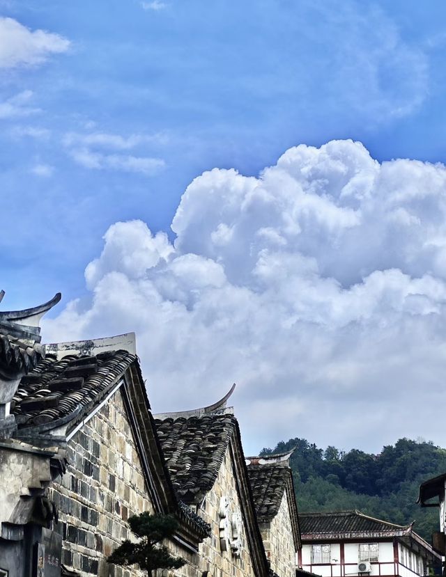 臥龍書院：古韻流芳，傳承千載的文化瑰寶。