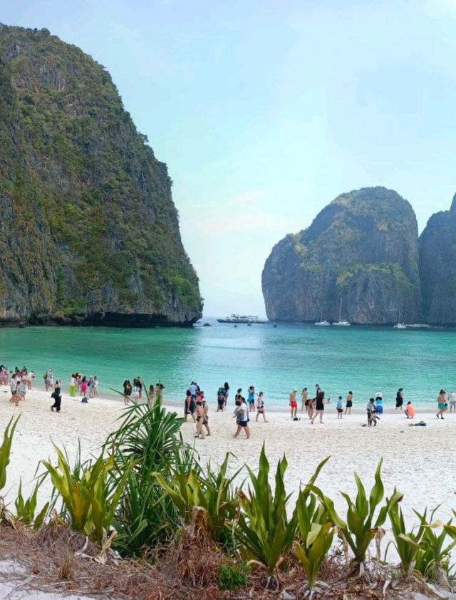 Phi-Phi Lei Maya Bay: Fall with Majic Spell of Beach Life