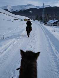 冬日浪漫 | 冰雪世界的夢幻瞬間。