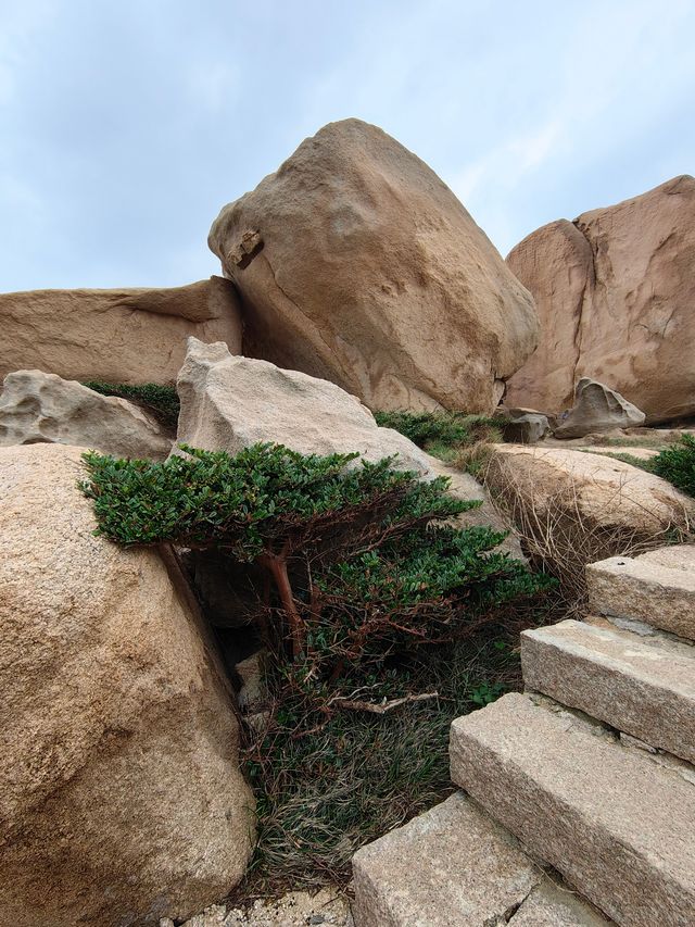 這名字怪一猴研島