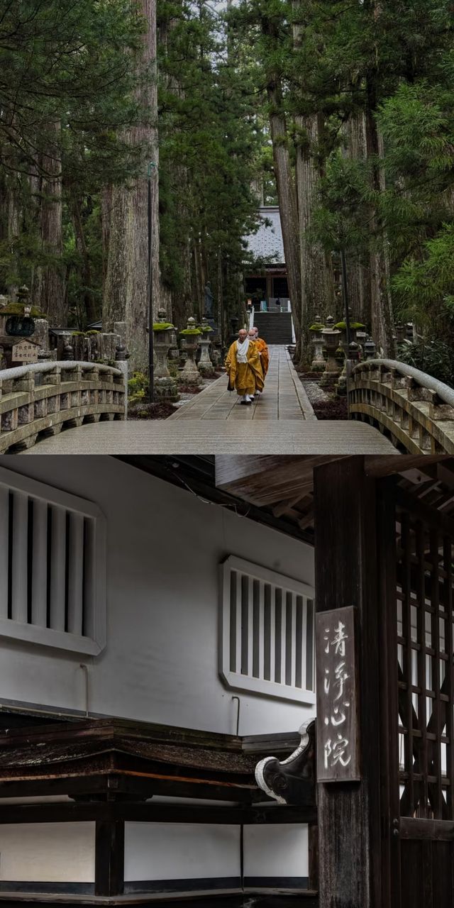 高野山  | 日本最最最神聖的地方！