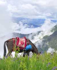 雲南老藥山，自然探秘之旅