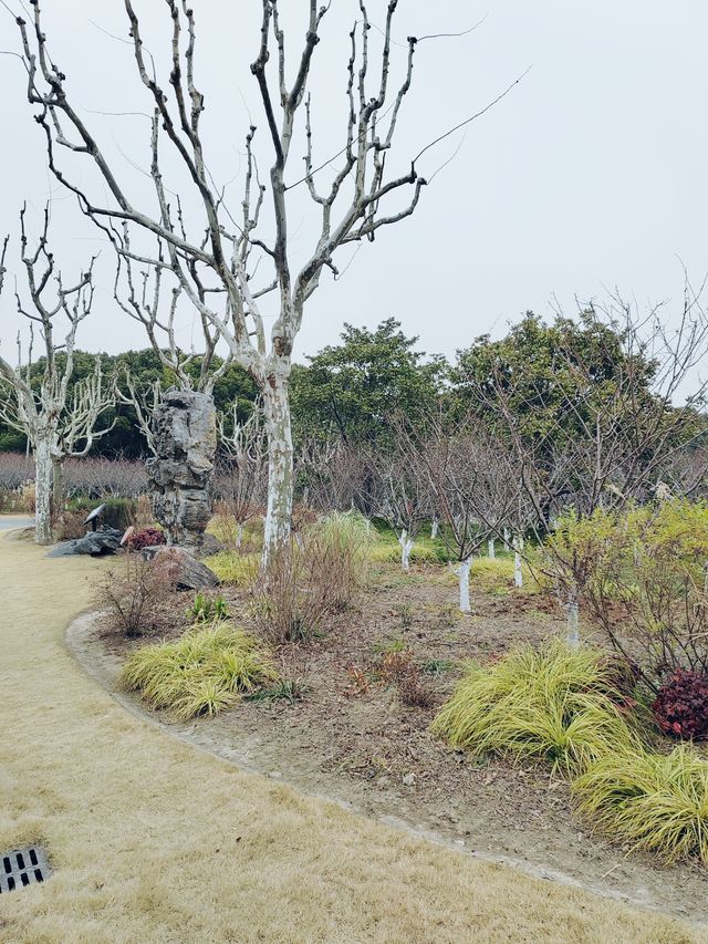 上海周末好去處-黃興公園探尋