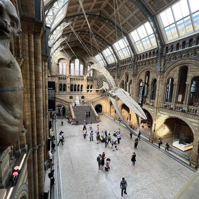 Natural History Museum 