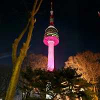 Best View of Seoul and Korea