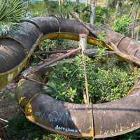 Absolutely mystical abandoned water park 🐉 