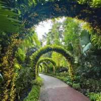 Serene Oasis in the City: Singapore Botanic Gardens