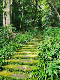 【鎌倉・妙法寺】朝に訪れたい静寂の苔寺