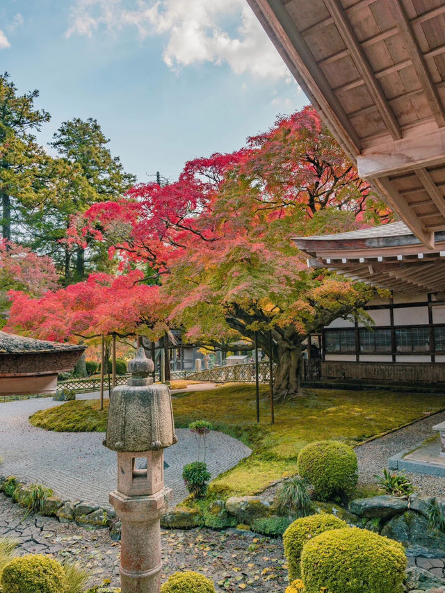 景點推薦：雷山千如寺——福岡紅葉名所與古老禪境