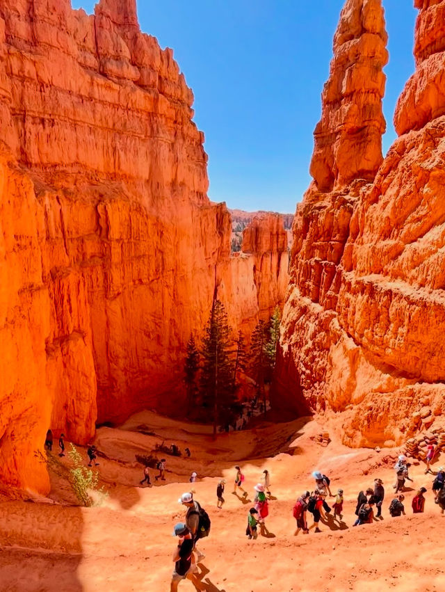 A Hiking Trip to Bryce Canyon National Park:My Heaven