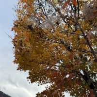 Shirakawa-go in autumn