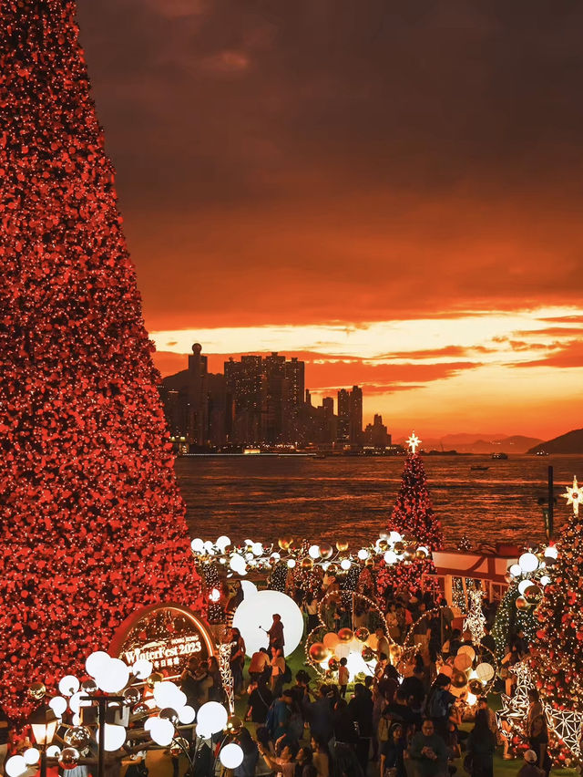 A Sparkling Christmas in Hong Kong