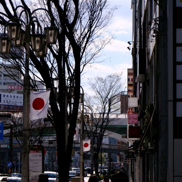 新年第一天 大須商店街遊記