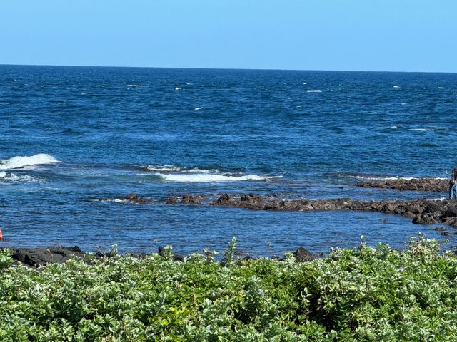 【濟州島一日自駕遊】城山日出峰、漢拿山、天帝淵瀑布，體驗大自然。