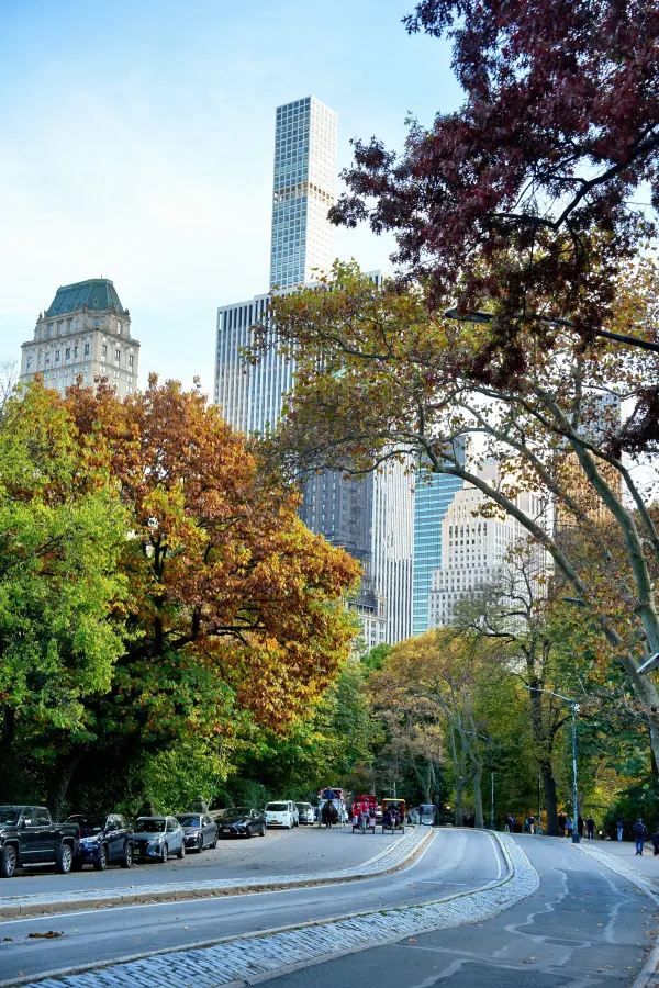 Autumn in New York City 🍂