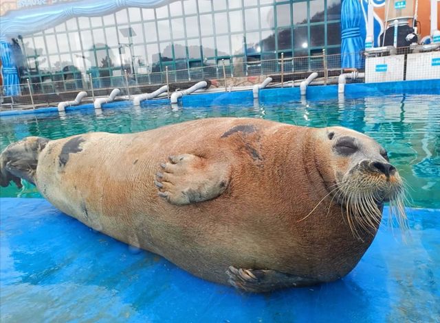 藍色夢幻之旅——大連老虎灘海洋公園。