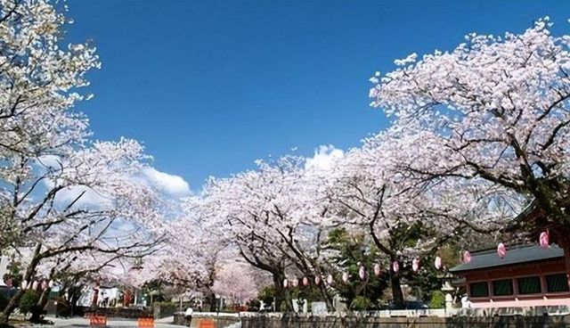 靜岡，因富士山而更添神秘與壯美。