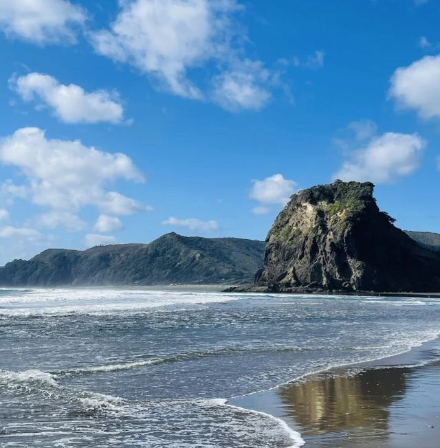 奧克蘭：逐浪於山海的衝浪之旅