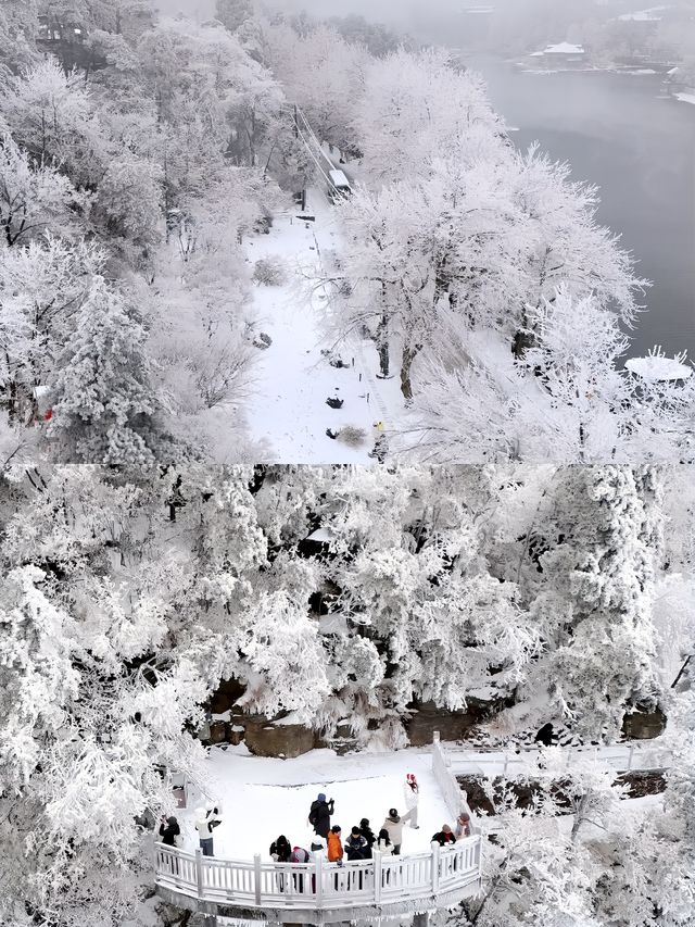 不是北海道！是廬山！