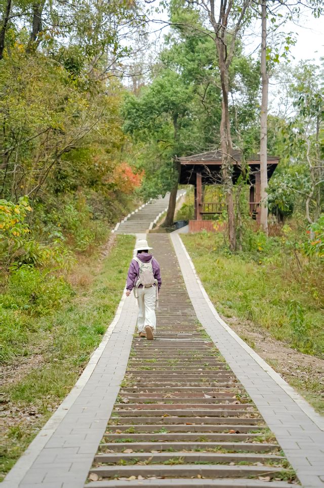 在武漢人少好爬的冬日行山路線（附路線圖）