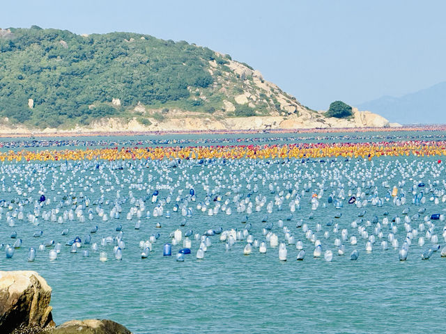 和美海島