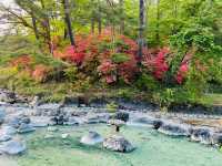 [草津湯畑♨️➕ 西之河原公園🏞️]