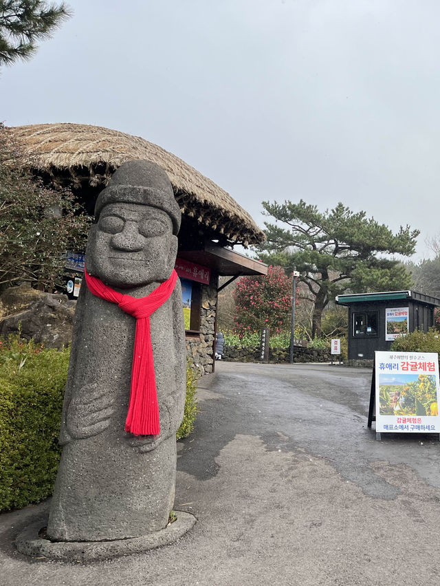 제주 동백꽃 대표 명소 휴애리자연생활공원 추천