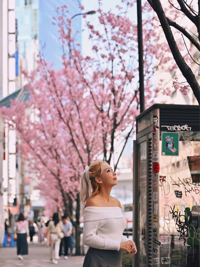 Cherry Blossom in Shibuya Tokyo 🌸🇯🇵