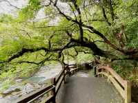 Cheonjeyeon Waterfall