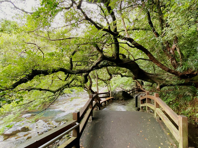 Cheonjeyeon Waterfall