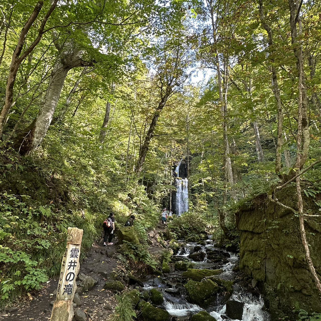 秋高氣爽遊日本青森奧入瀨溪流