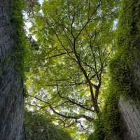 Very Beautiful Garden at Fort Canning Park in Singapore